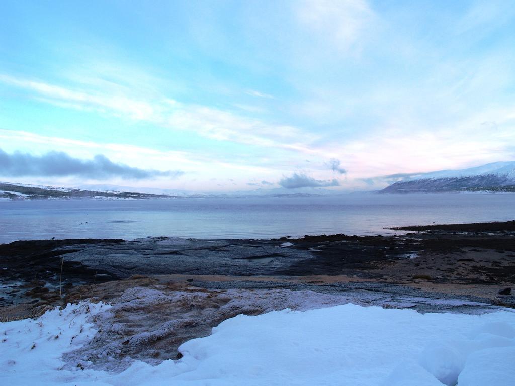 Vikran Vacation: Sea Fishing And Northern Lights Luaran gambar