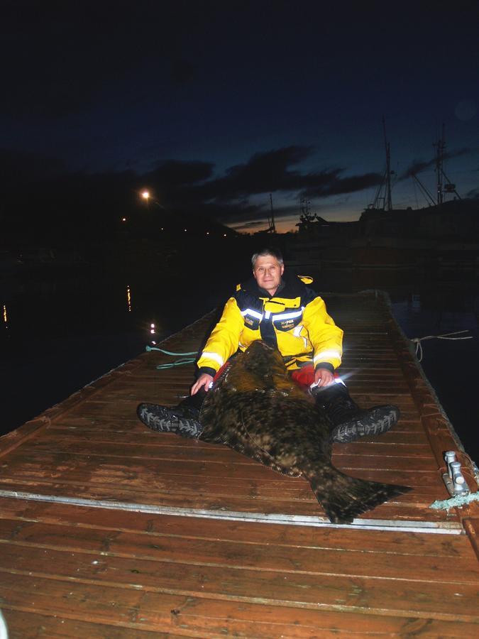 Vikran Vacation: Sea Fishing And Northern Lights Luaran gambar