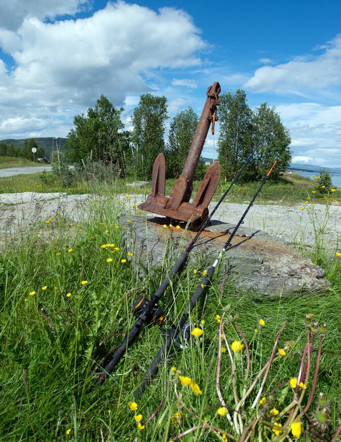 Vikran Vacation: Sea Fishing And Northern Lights Luaran gambar