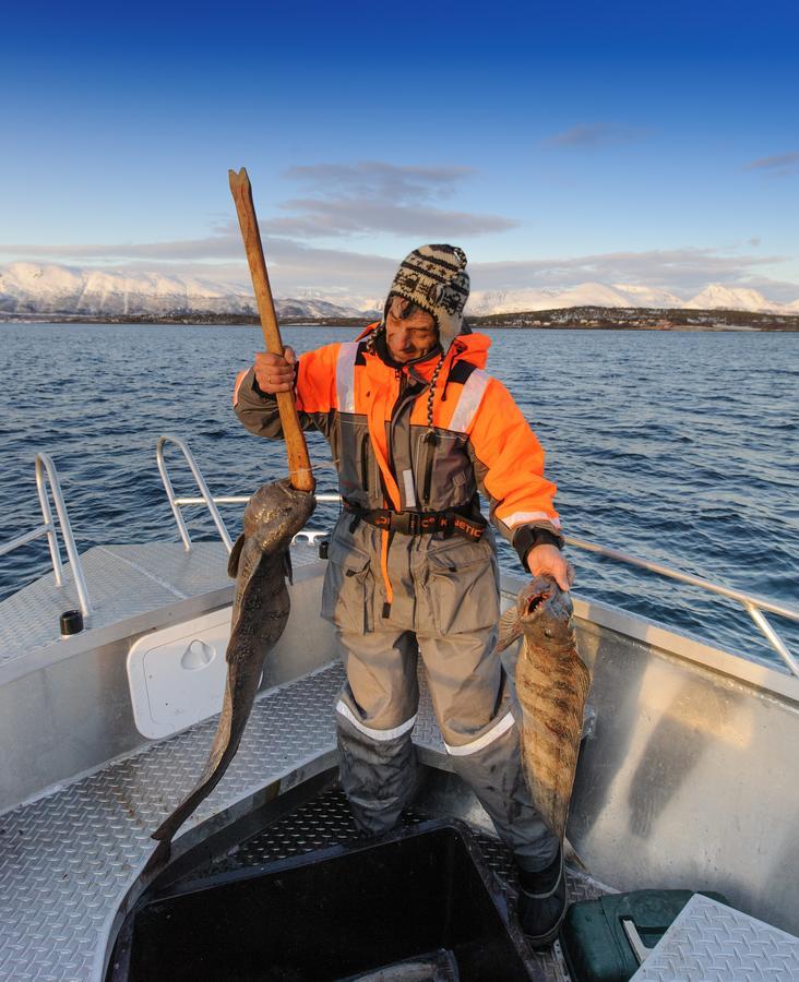 Vikran Vacation: Sea Fishing And Northern Lights Luaran gambar