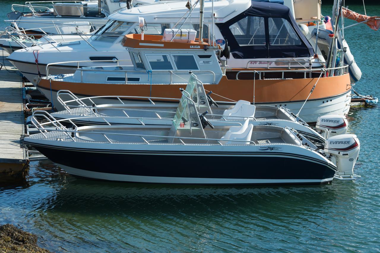 Vikran Vacation: Sea Fishing And Northern Lights Luaran gambar