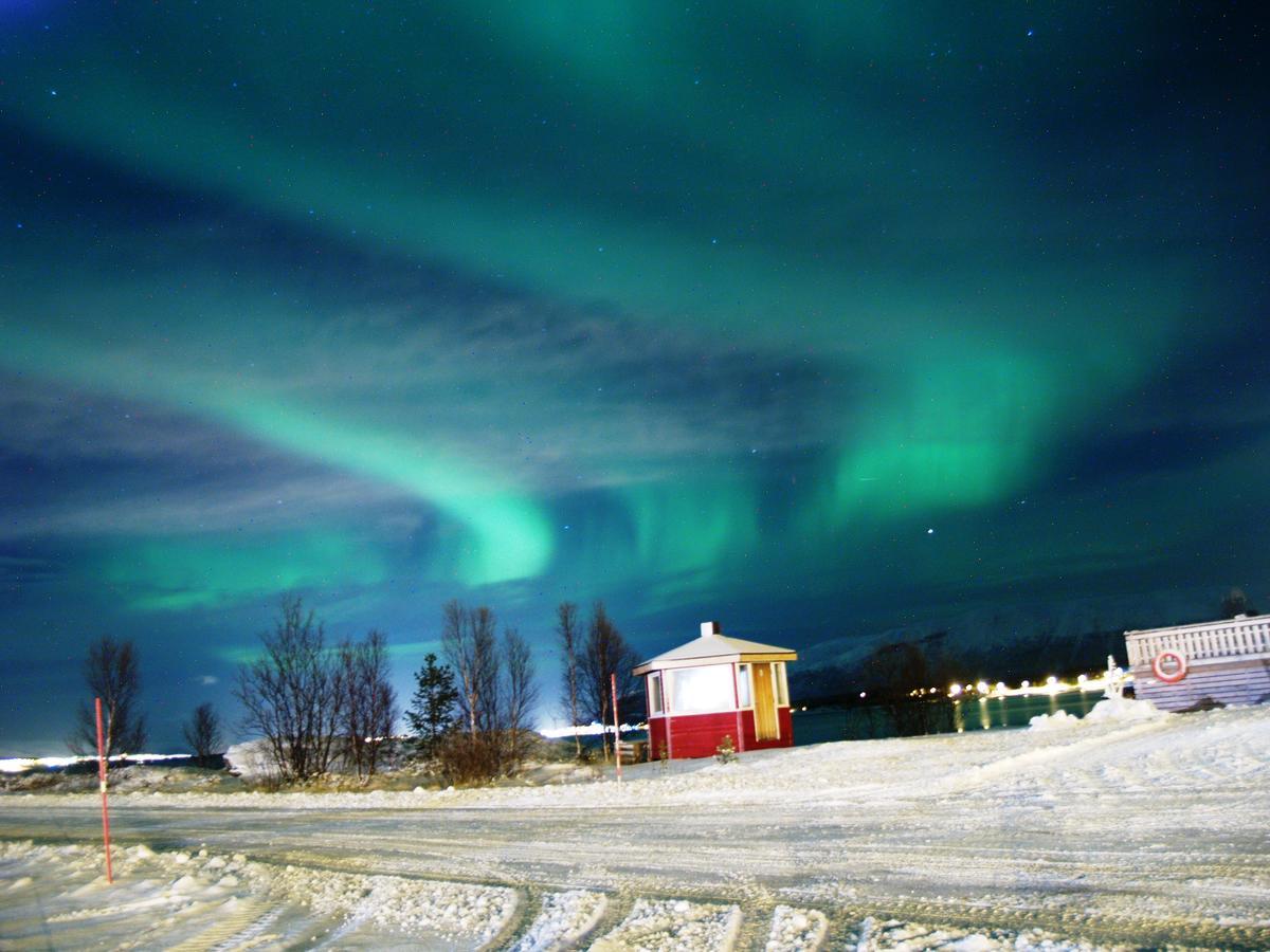 Vikran Vacation: Sea Fishing And Northern Lights Luaran gambar