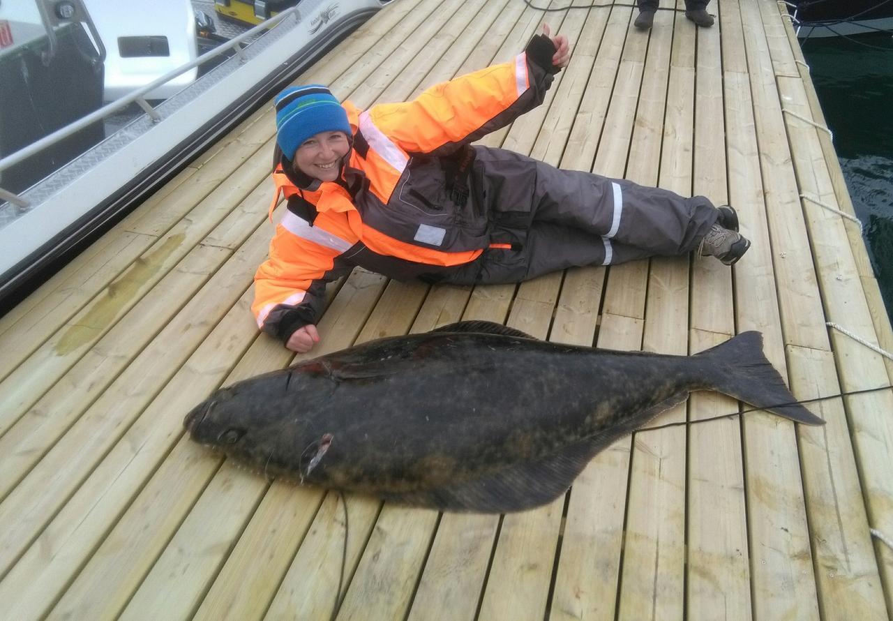 Vikran Vacation: Sea Fishing And Northern Lights Luaran gambar