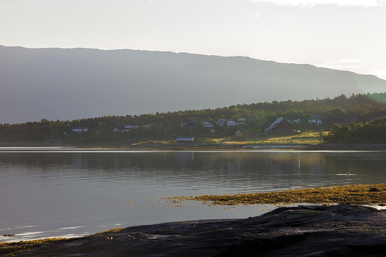 Vikran Vacation: Sea Fishing And Northern Lights Luaran gambar